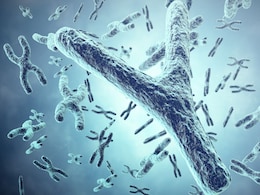 Men Lose Their Y Chromosome As They Age. Scientists Thought It Didn't Matter - But Now We're Learning More