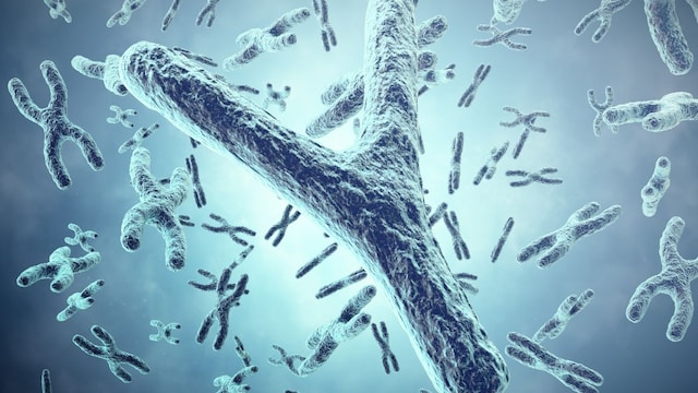 Men Lose Their Y Chromosome As They Age. Scientists Thought It Didn't Matter - But Now We're Learning More