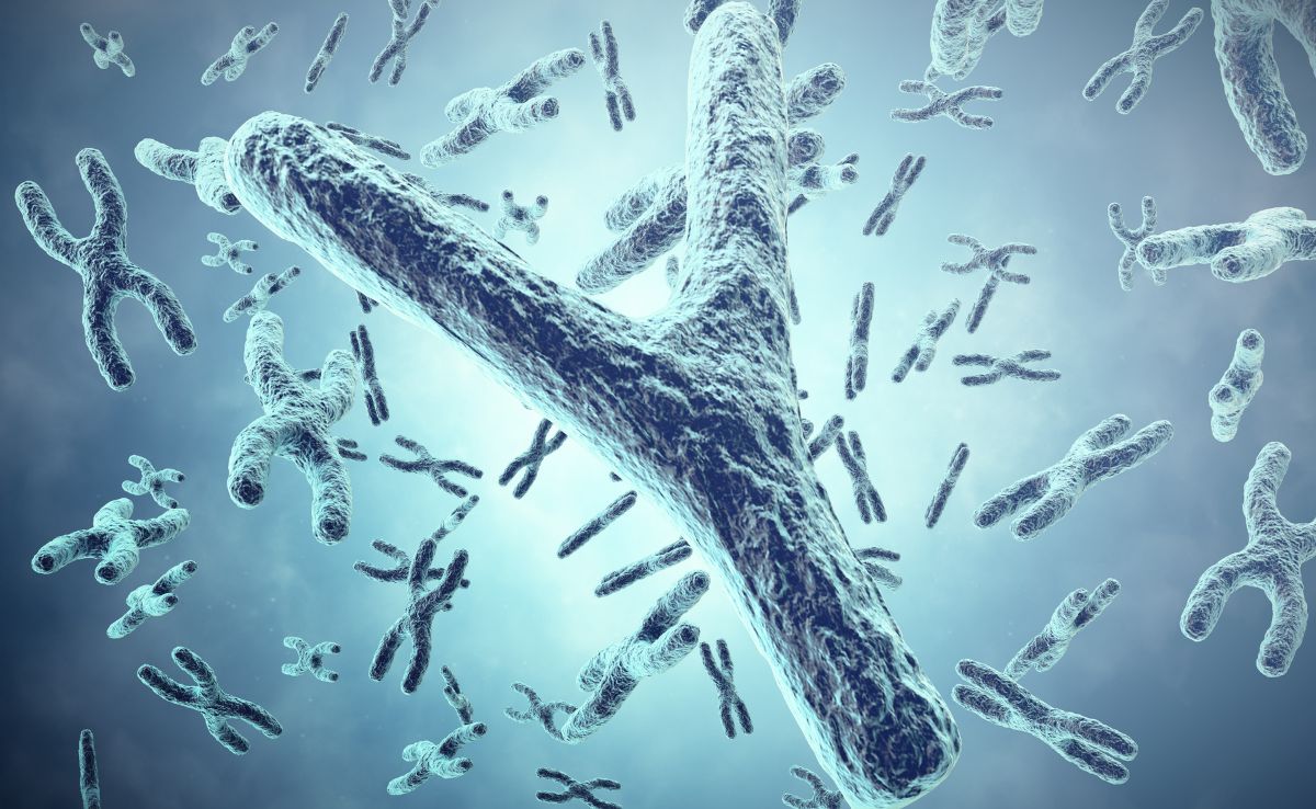 Men Lose Their Y Chromosome As They Age. Scientists Thought It Didn't Matter - But Now We're Learning More