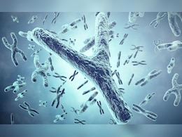 Male Y Chromosome : आता खरंच मुलांचा जन्म होणार नाही? रीसर्चमधील धक्कादायक माहिती Male Y Chromosome : आता खरंच मुलांचा जन्म होणार नाही? रीसर्चमधील धक्कादायक माहिती