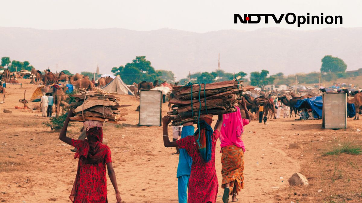 Opinion: Here's To Tribals And Their Endless Fight For Jal, Jungle, Zameen