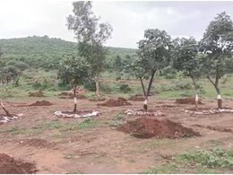 Jhalawar City Forest: शहर में जंगल का एहसास कराएगा झालावाड़ का नगर वन, गर्मी में भी ठंडाई का लुत्फ ले सकेंगे शहरवासी Jhalawar City Forest: शहर में जंगल का एहसास कराएगा झालावाड़ का नगर वन, गर्मी में भी ठंडाई का लुत्फ ले सकेंगे शहरवासी