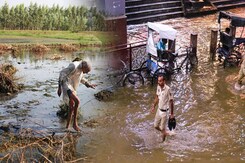 सावधान! एमपी के इन जिलों में भारी बारिश का अलर्ट सावधान! एमपी के इन जिलों में भारी बारिश का अलर्ट