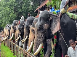 Opinion: Elephants - The Engineers Of Ecosystems Opinion: Elephants - The Engineers Of Ecosystems