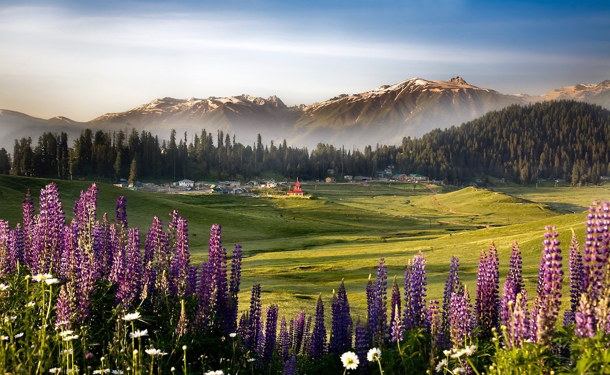 Latest and Breaking News on NDTV