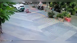 Video: 4-Year-Old Girl Falls Off Cycle, Run Over By Car In Gujarat