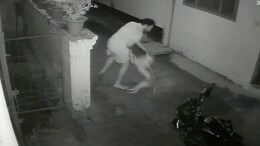 On CCTV, Stray Dog Goes On Biting Spree In UP, Attacks 17 People In 1 Hour