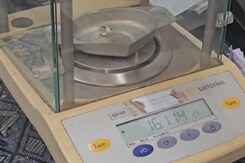 Farmer Strikes Fortune: 16-Carat Diamond Found in Madhya Pradesh Farmer Strikes Fortune: 16-Carat Diamond Found in Madhya Pradesh