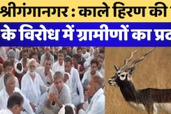 Blackbuck Haunts in Sri Ganganagar: काले हिरण की हत्या के विरोध में ग्रामीणों का प्रदर्शन