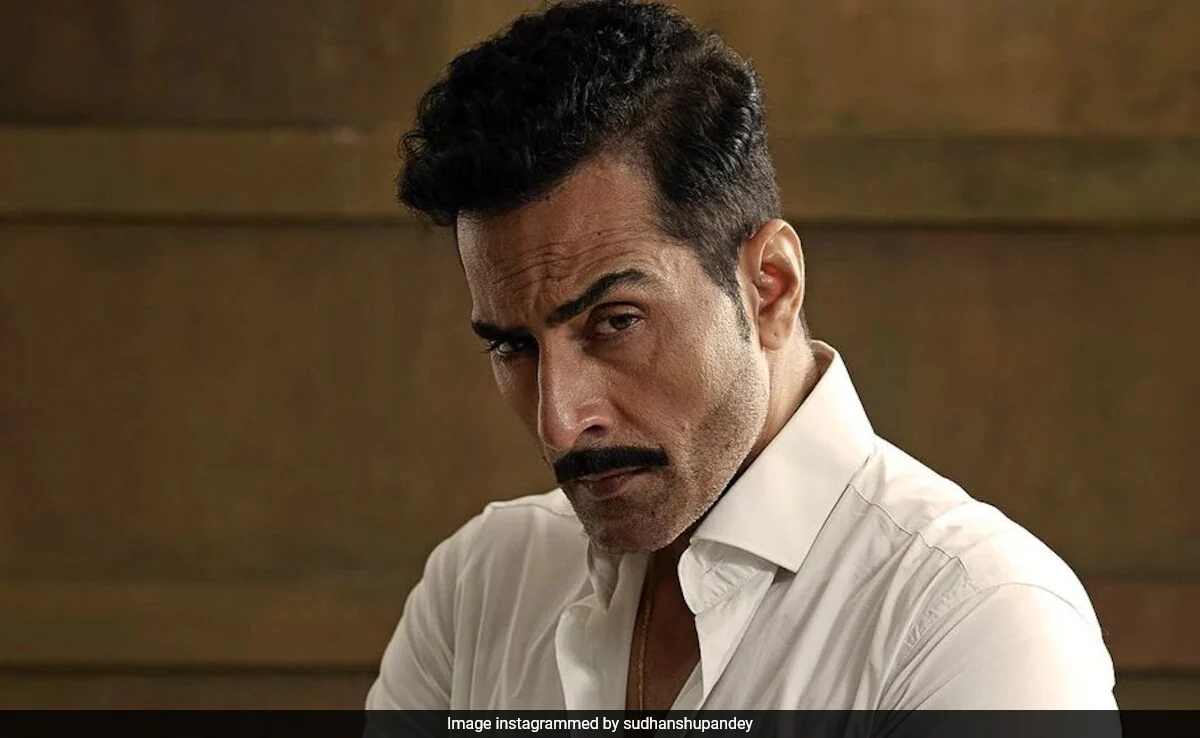 After Quitting <i>Anupamaa</i>, Sudhanshu Pandey To Participate In <i>Bigg Boss 18</i>? Here's What We Know