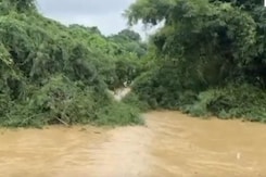 Tripura Floods: Death Toll Rises To 19, Over 65,000 People Displaced Tripura Floods: Death Toll Rises To 19, Over 65,000 People Displaced