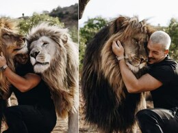 शख्स ने शेर से कर ली दोस्ती, फिर खूंखार शिकारी ने जताया ऐसा प्यार, देख लोग बोले- एक दिन मरोगे