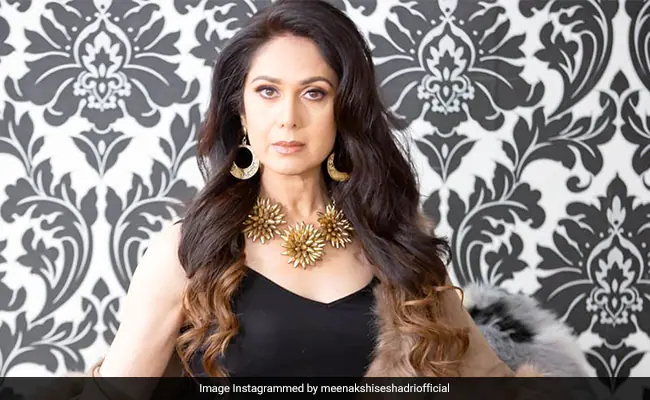 Veteran Actor Meenakshi Seshadri, 60, Wants To Do An "Item Song": "Want To Change Everyone's Mindset"