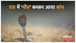 देर रात अचानक से चीख उठे मासूम&nbsp;&nbsp;! सुबह मौत की खबर मिलने से मचा हड़कंप