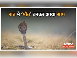 देर रात अचानक से चीख उठे मासूम  ! सुबह मौत की खबर मिलने से मचा हड़कंप