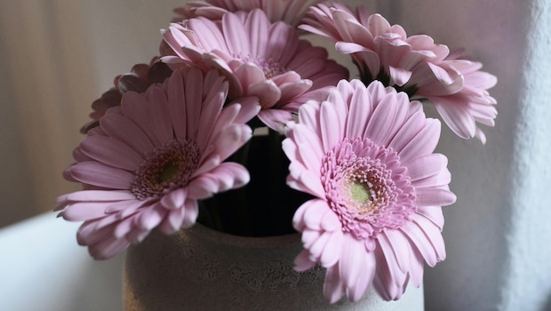 6 Fail-Proof Decorating Themes For This Festive Season 6 Fail-Proof Decorating Themes For This Festive Season