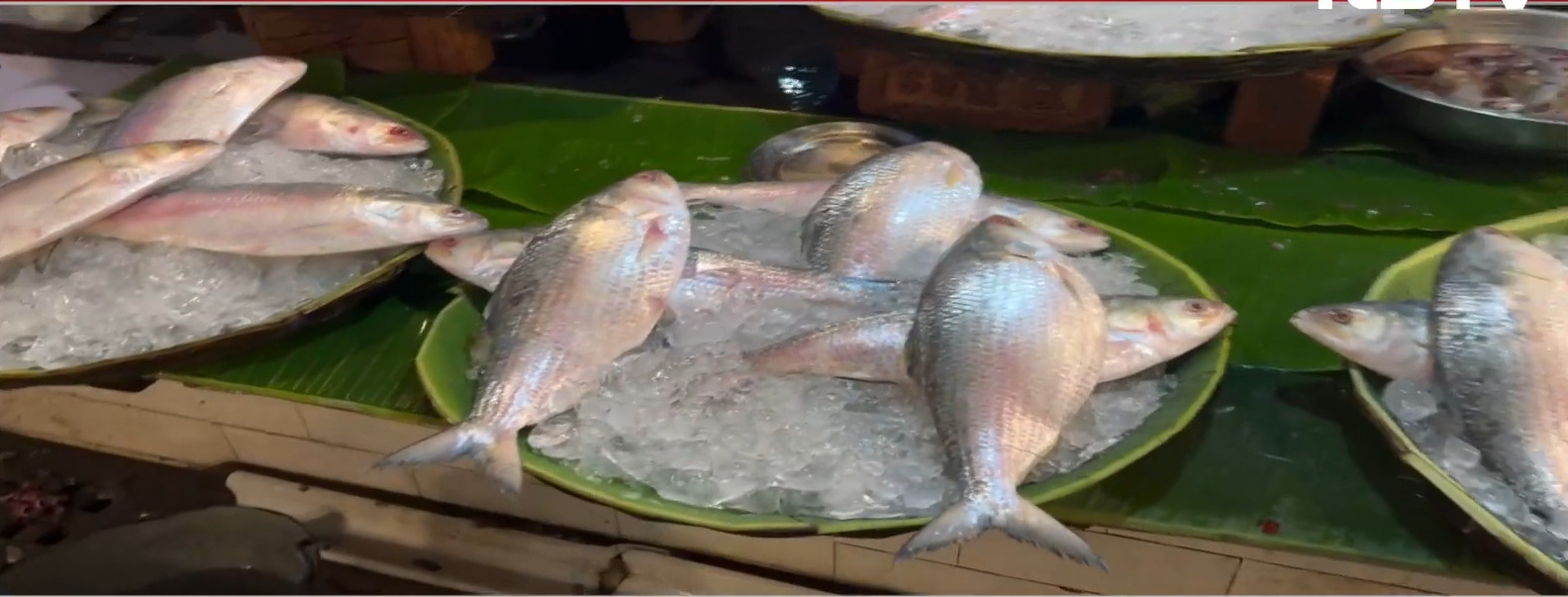 Bangladesh Crisis Hits Tables In Bengal, Northeast, As Hilsa Import Stops