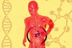 Fatty Liver: लिवर में फैट जमा होने का कारण क्या है? डॉक्टर ने बताया Fatty Liver: लिवर में फैट जमा होने का कारण क्या है? डॉक्टर ने बताया