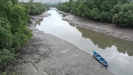 Woman Found Dead In Navi Mumbai Lake, Cops Suspect Boyfriend Killed Her