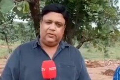 175 लाख में बनेगा नगर वन जाने और क्या होगा खास ?, 5 हजार पौधों से सजेगा वन | Rajasthan news 175 लाख में बनेगा नगर वन जाने और क्या होगा खास ?, 5 हजार पौधों से सजेगा वन | Rajasthan news