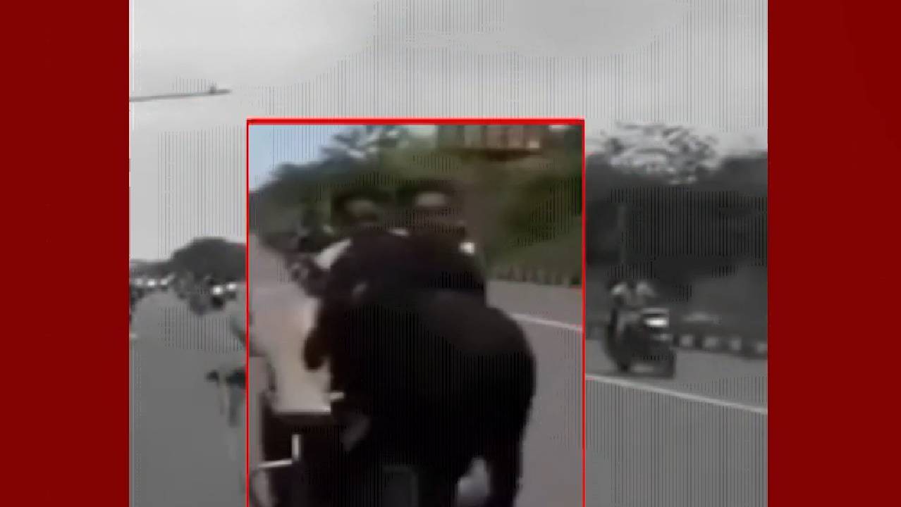 Gariyaband: बाइक पर स्टंट करते हुए सांड से जा टकराए युवक, वीडियो वायरल