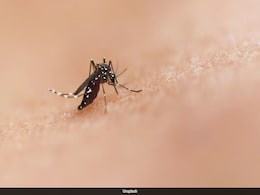 Oropouche Virus Kills 2 In Brazil: All About The Rare Disease Oropouche Virus Kills 2 In Brazil: All About The Rare Disease