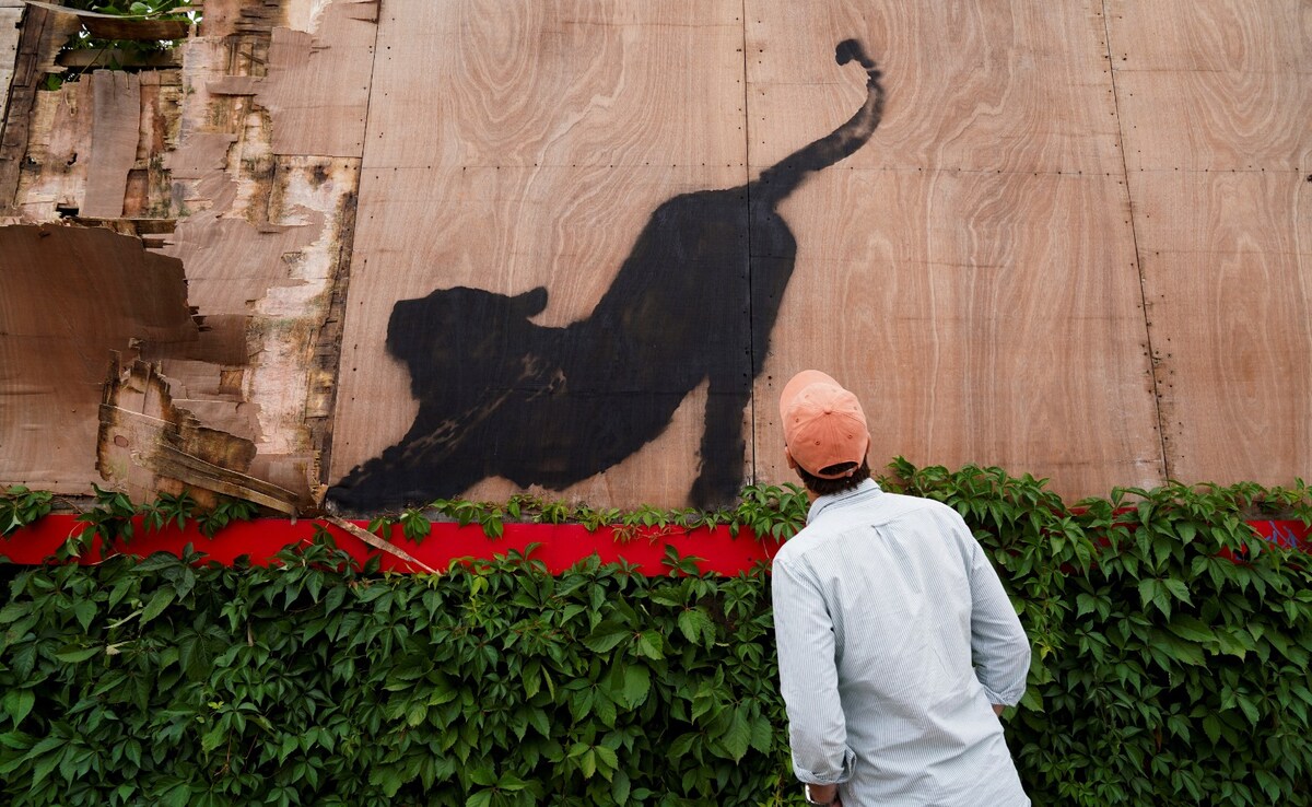 Latest and Breaking News on NDTV