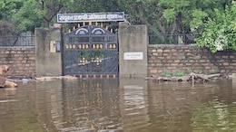 श्मशान भी डूबें, जोधपुर में बारिश से भारी परेशानी; हाईकोर्ट ने अधिकारियों को लगाई फटकार, मांगा प्लान