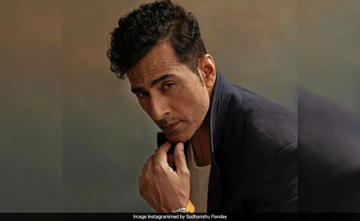 Sudhanshu Pandey AKA Vanraj Quits <i>Anupamaa</i>: "I Apologise For Taking This Sudden Decision"