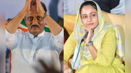 "सना तू घाबरु नकोस..." नवाब मलिकच्या कन्येला अजित पवारांनी दिली मोठी जबाबदारी