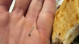 US Customer Finds Nose Ring In Taco Bell Food, Shares Unpleasant Experience On Social Media