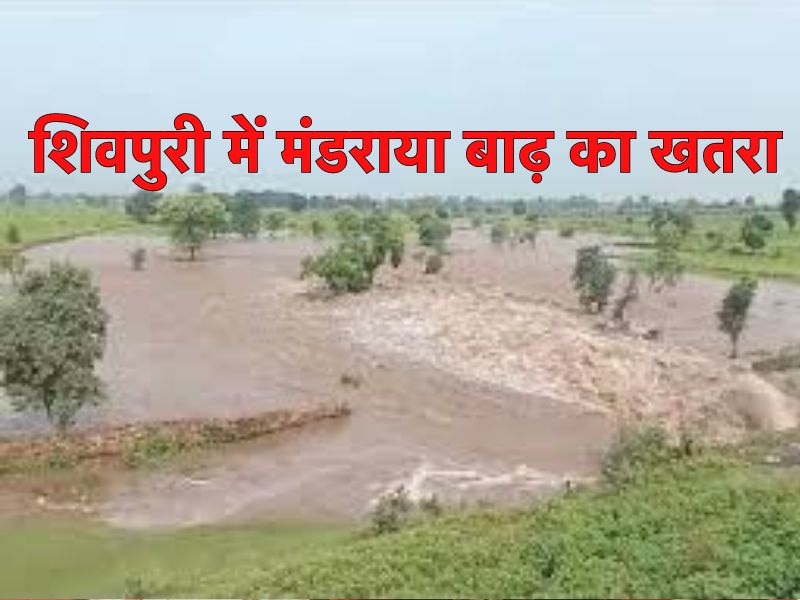 शिवपुरी के कई गांवों में मंडराया बाढ़ का खतरा, प्रशासन अलर्ट पर, देवरी में तालाब फूटने से बने ये हालात