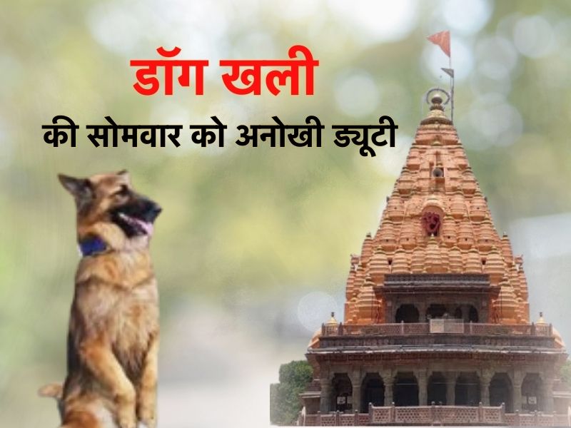 Dog Khali: महाकाल की सुरक्षा में तैनात अनोखा डॉग, सावन की सोमवार को रखता है उपवास