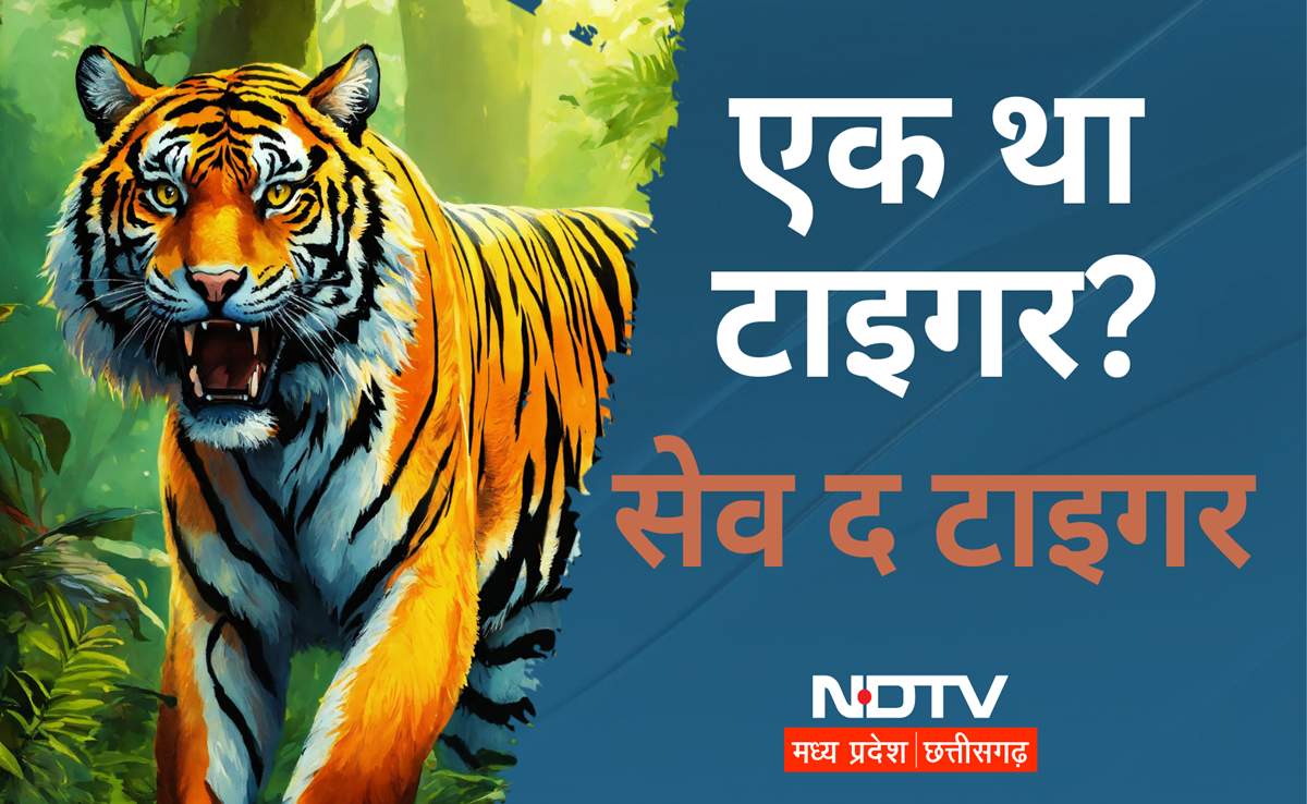 Tiger Deaths in MP: वनराज की मौतों पर NDTV की पड़ताल के बाद वन विभाग में बड़ा प्रशासनिक फेरबदल