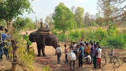 Madhya Pradesh Panels For Tribal Welfare, Eco-Conservation Hit Funds Wall
