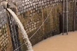 Maihar : गंदा पानी पीने से लोग बीमार आखिर जिम्मेदार कौन | Water crisis | Madhya Pradesh Maihar : गंदा पानी पीने से लोग बीमार आखिर जिम्मेदार कौन | Water crisis | Madhya Pradesh