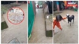 शिवपुरी में फिर लबालब हुआ ये तालाब,&nbsp;बारिश में आशियाना छोड़कर भागे लोग
