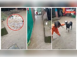 शिवपुरी में फिर लबालब हुआ ये तालाब,&nbsp;बारिश में आशियाना छोड़कर भागे लोग
