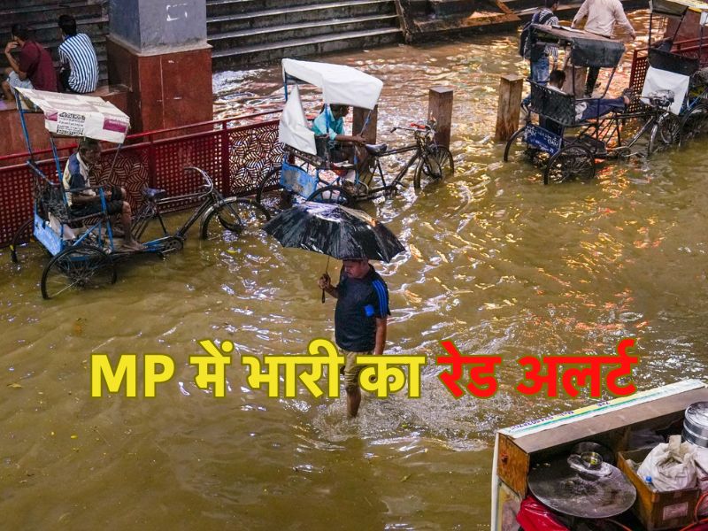MP Rain Alert: मध्य प्रदेश के 12 जिलों में भारी बारिश का रेड अलर्ट, कहां कितनी हुई बारिश? यहां जानें अपने जिलों का हाल