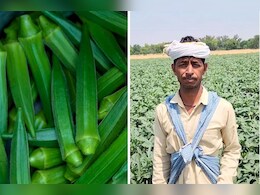 ट्रेन में मिले एक शख्स ने कैसे बदली किसान की किस्मत, भिंडी की खेती से हर साल कमा रहे 4 लाख का मुनाफा     