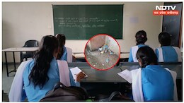 शिक्षा के मंदिर में 'शराब' ! हाई स्कूल का नतीजा खराब, क्या ऐसे होगा MP में शिक्षा का विकास ?
