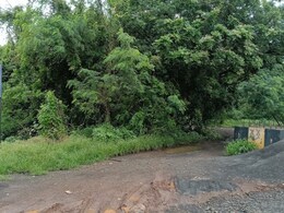 दोन दिवसांनी तलावात सापडला तरुणाचा मृतदेह, प्रेयसीच्या हत्येमागचे वाढले गूढ