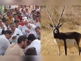 राजस्थान में काले हिरण के शव को फ्रिज में रख कर सड़क पर प्रदर्शन, शिकारी की गोली लगने से हुई हिरण की मौत राजस्थान में काले हिरण के शव को फ्रिज में रख कर सड़क पर प्रदर्शन, शिकारी की गोली लगने से हुई हिरण की मौत