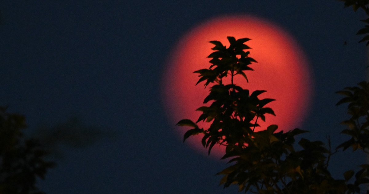 Stunning Pics Of Super Blue Moon From Around The World