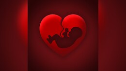 US State Arizona's Ballot Can Describe Fetuses As "Unborn" Humans: Court