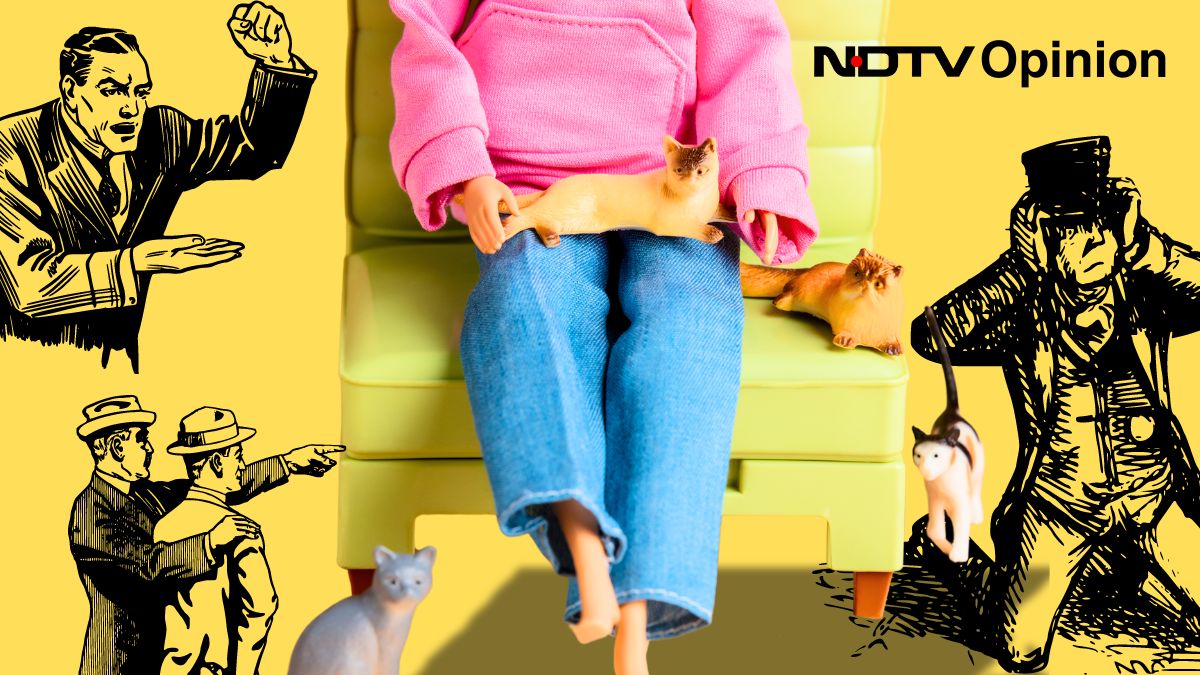 Why Do 'Crazy', Childless Cat Ladies Scare Men So Much?