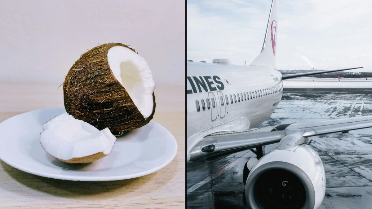 Why You Can't Board A Plane With Coconut In Your Baggage