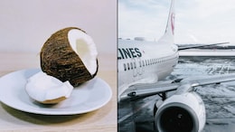 Why You Can't Board A Plane With Coconut In Your Baggage