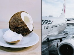 Why You Can't Board A Plane With Coconut In Your Baggage Why You Can't Board A Plane With Coconut In Your Baggage