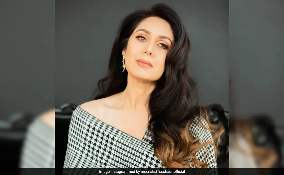 Meenakshi Seshadri On Why Actors Have Longer Innings In Showbiz: "They Don't Have To Factor In Childbirth, Pregnancy"